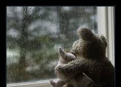 Enlace a 17 imágenes que describen a la perfección lo que es tener algo llamado PLUVIOFILIA