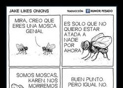 Enlace a La friendzone existe en todas las especies