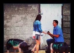 Enlace a Cuando tus amigos son unos cerdos pero aún así quieres que estén