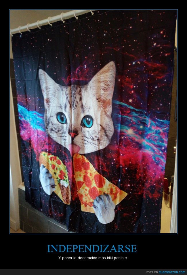 cortinas,baño,gato,pizza,tacos