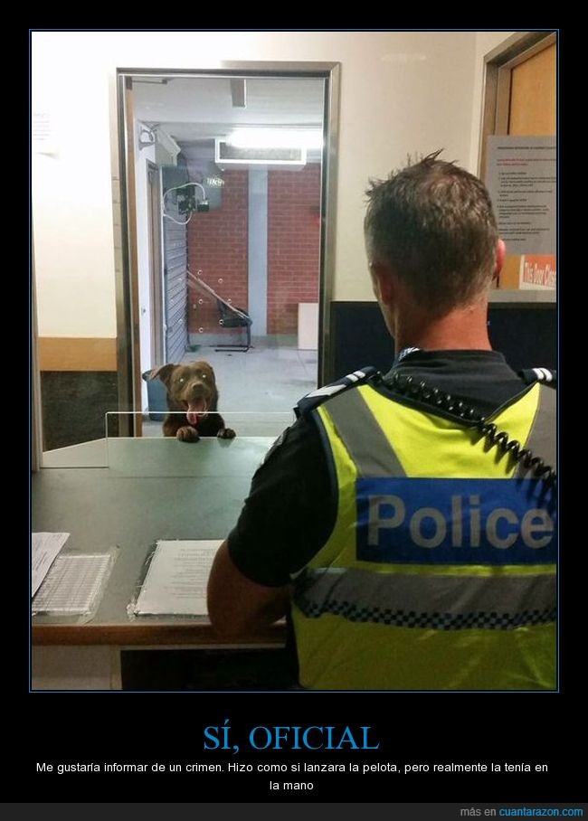 perro,quejarse,denuncia,policía