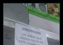 Enlace a Para los padres que van dejando sus niños campando libremente
