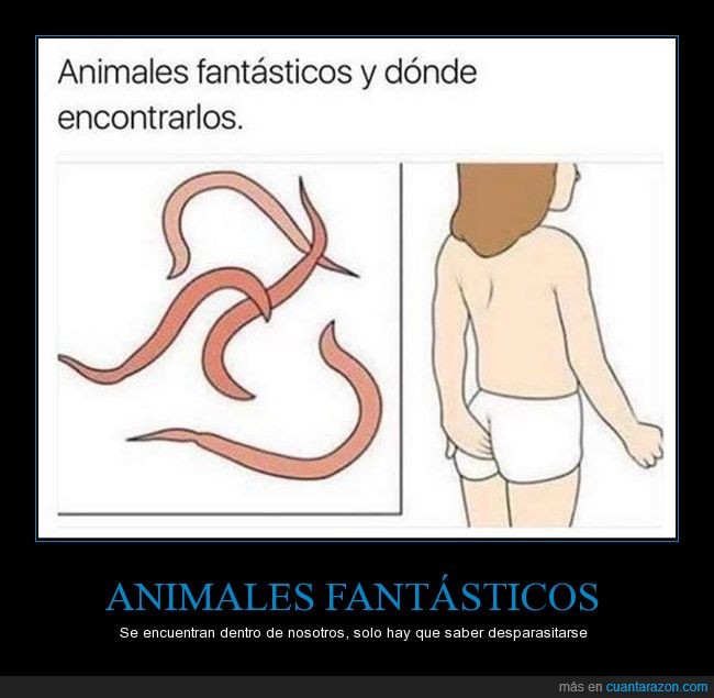 animales fantásticos,asco,lombrices,uggg