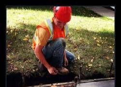 Enlace a ¡Por fin lo hemos pillado!