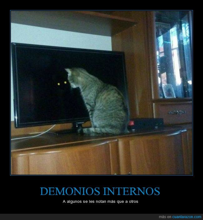 demonio,televisor,wtf,gato,jaja,humor