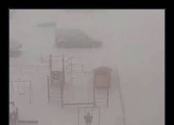 Enlace a ¿Has visto alguna vez algo más tétrico?