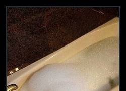 Enlace a Listo para ti