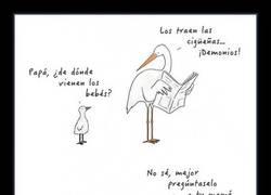 Enlace a Lo que tendría que responder una cigüeña cuando le preguntan esto