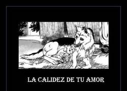 Enlace a SIN PALABRAS