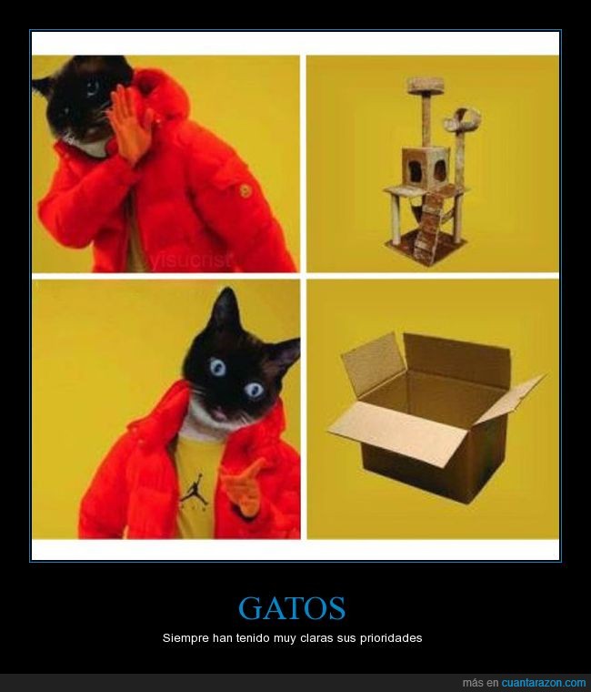 gato,caja,juguetes