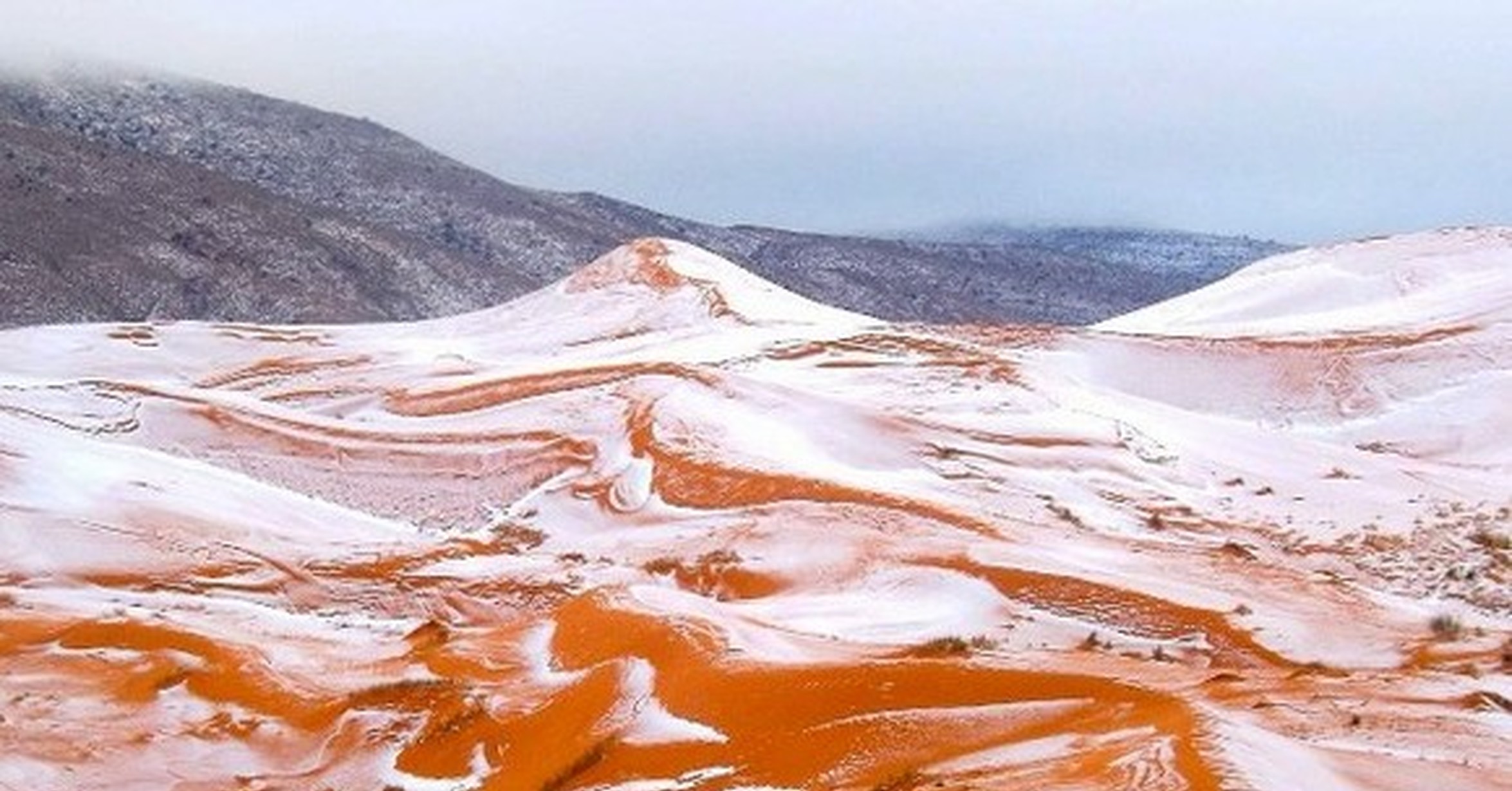 ¡Cuánta razón! / Por primera vez en 37 años, ha vuelto a nevar en el Sahara