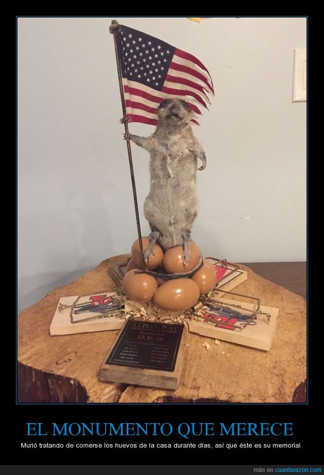 rata,huevos,monumento,bandera