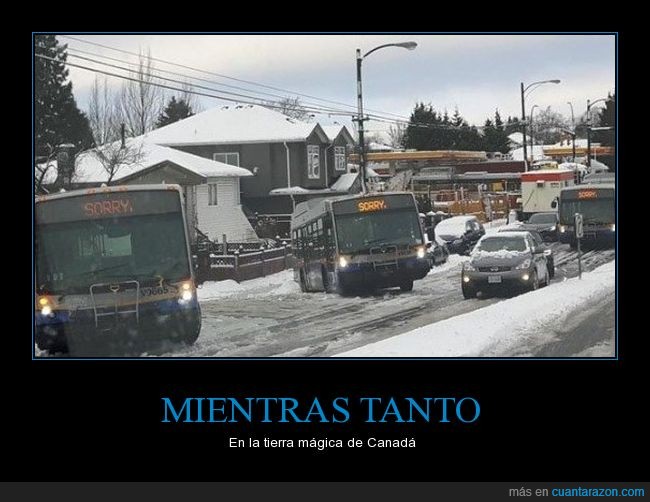 buses,canada,nieve,jaja