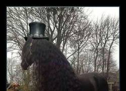 Enlace a Menudo pelazo se gasta