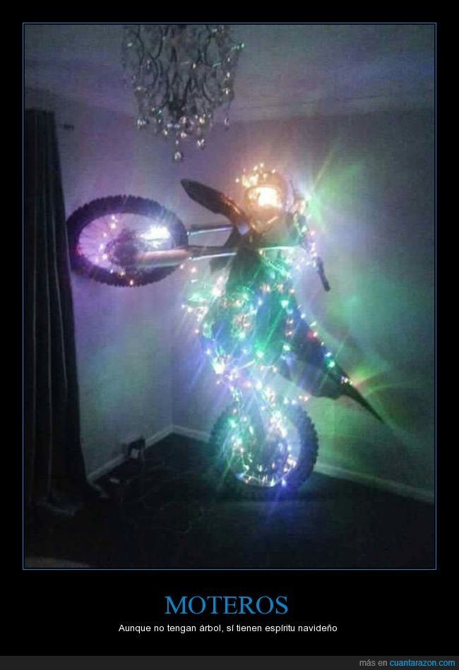 moto,placa,luces,pino,árbol,navidad