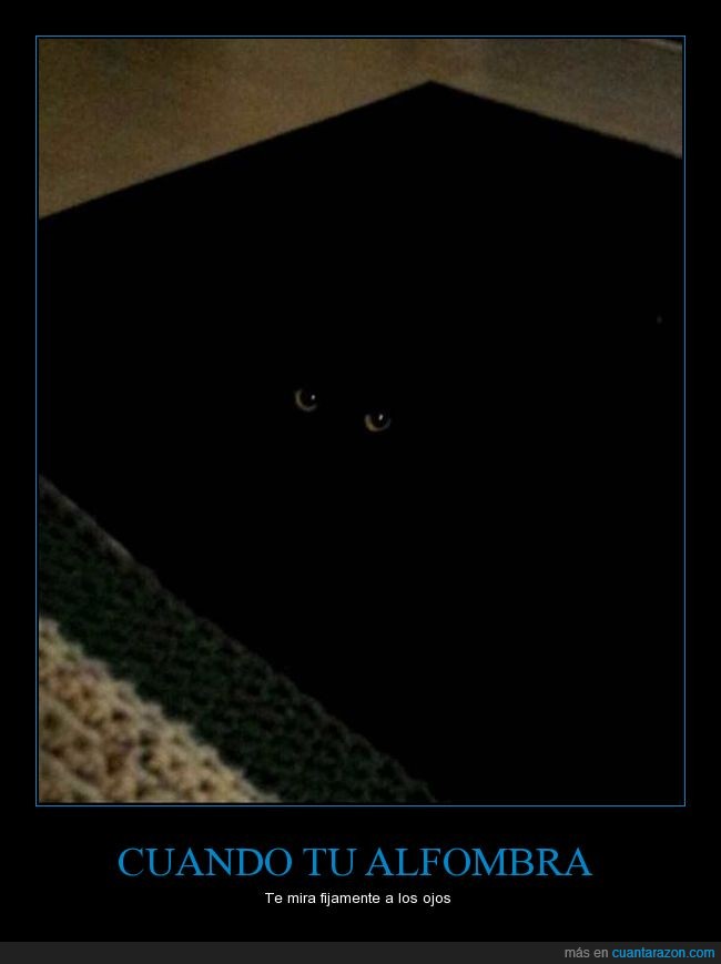 alfombra,ojos,gato