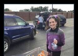 Enlace a BUSCANDO A NEMO