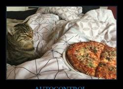 Enlace a Madre mía, yo no podría, levantarte y ver esa pizza en tu cama...