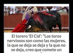 Enlace a Las declaraciones del torero El Cid que han levantado ampollas