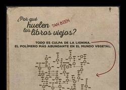 Enlace a OLOR A LIBRO VIEJO