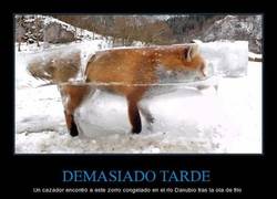 Enlace a Impactante
