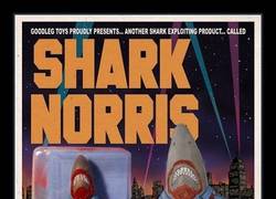 Enlace a SHARK NORRIS