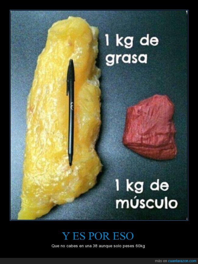 grasa,músculo,pesar,peso,1kg