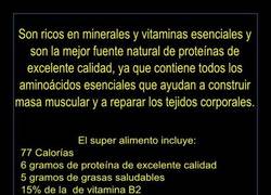 Enlace a El huevo, el súper-alimento