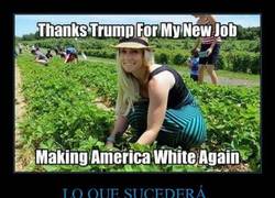 Enlace a ¿No queríais té? Pues dos tazas