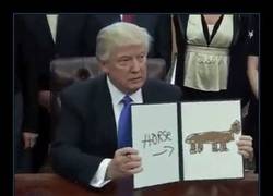 Enlace a Internet convierte a Trump firmando órdenes ejecutivas en un meme que no tiene frenos