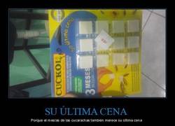 Enlace a Matacucarachas 