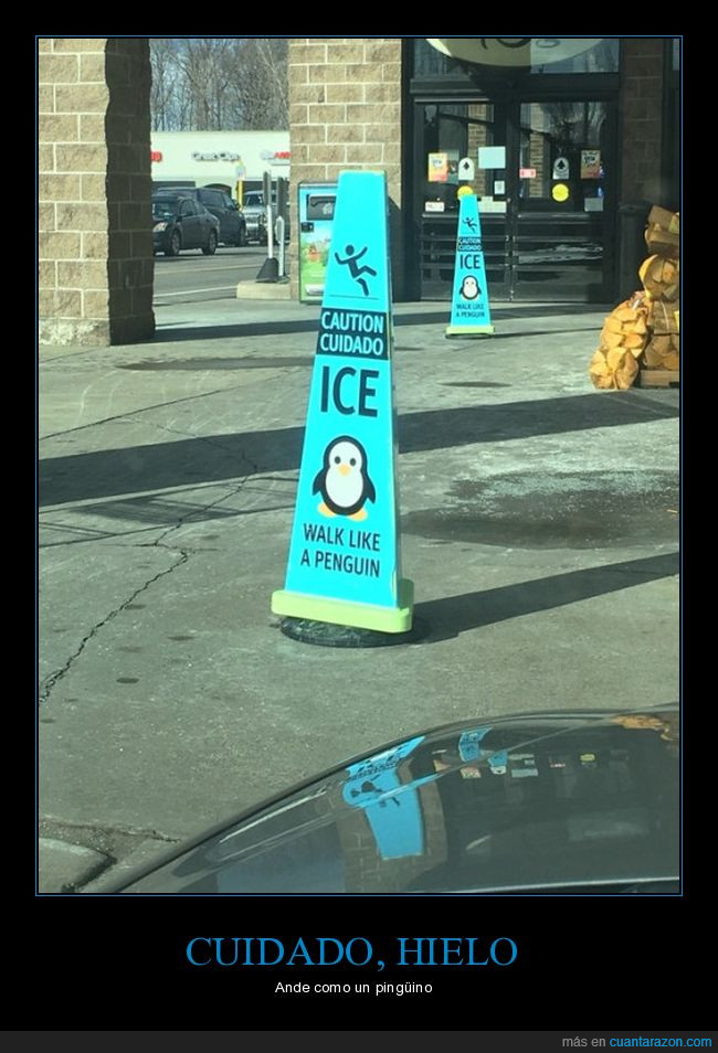 señal,hielo,aviso,pingüino