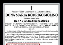 Enlace a Han querido recordar a su madre con una frase acorde a la simpatía que derrochó en vida