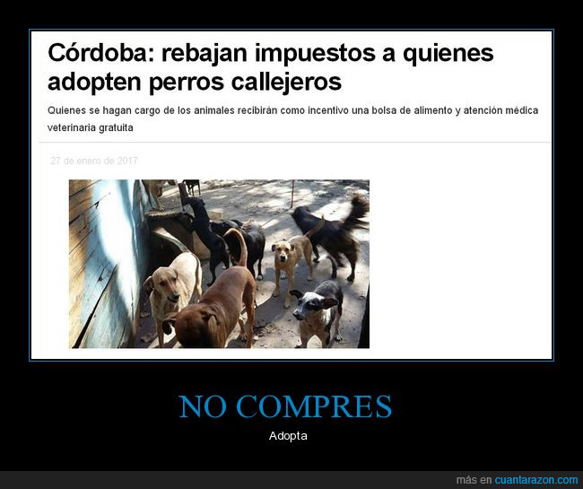 perros,Argentina,impuestos,Córdoba