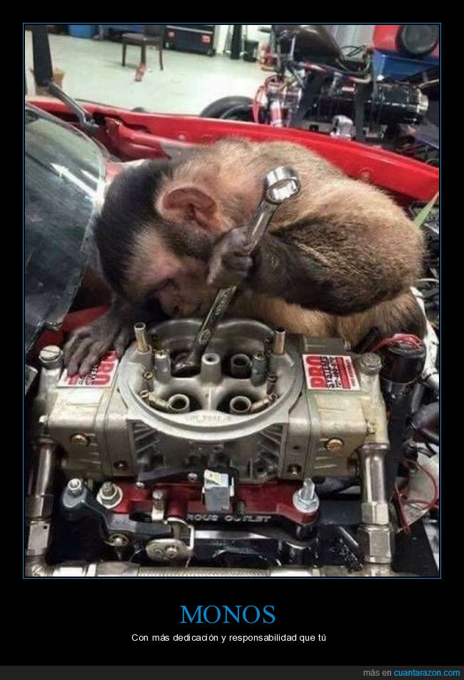El mono mecánico