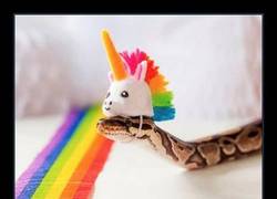 Enlace a A mí no me la cuela