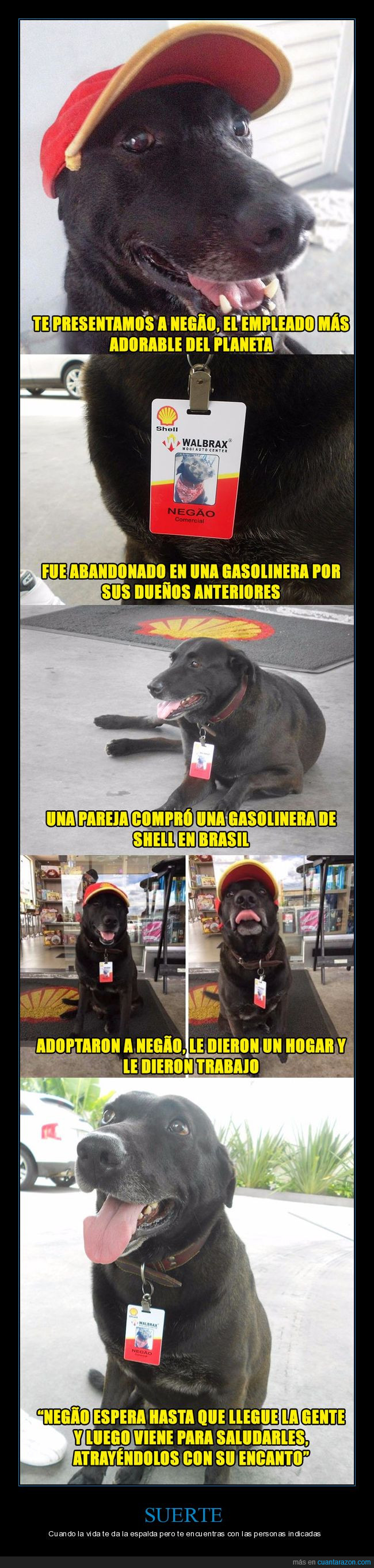 perro,negao,gasolinera