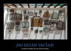Enlace a ¡NO ESTÁN VACÍAS!