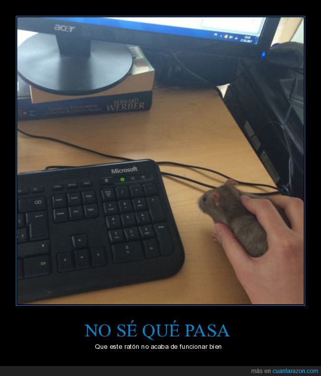 ratón,ordenador