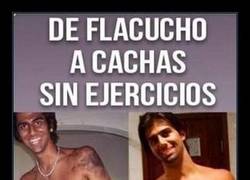 Enlace a ¿Para qué ir al gimnasio?