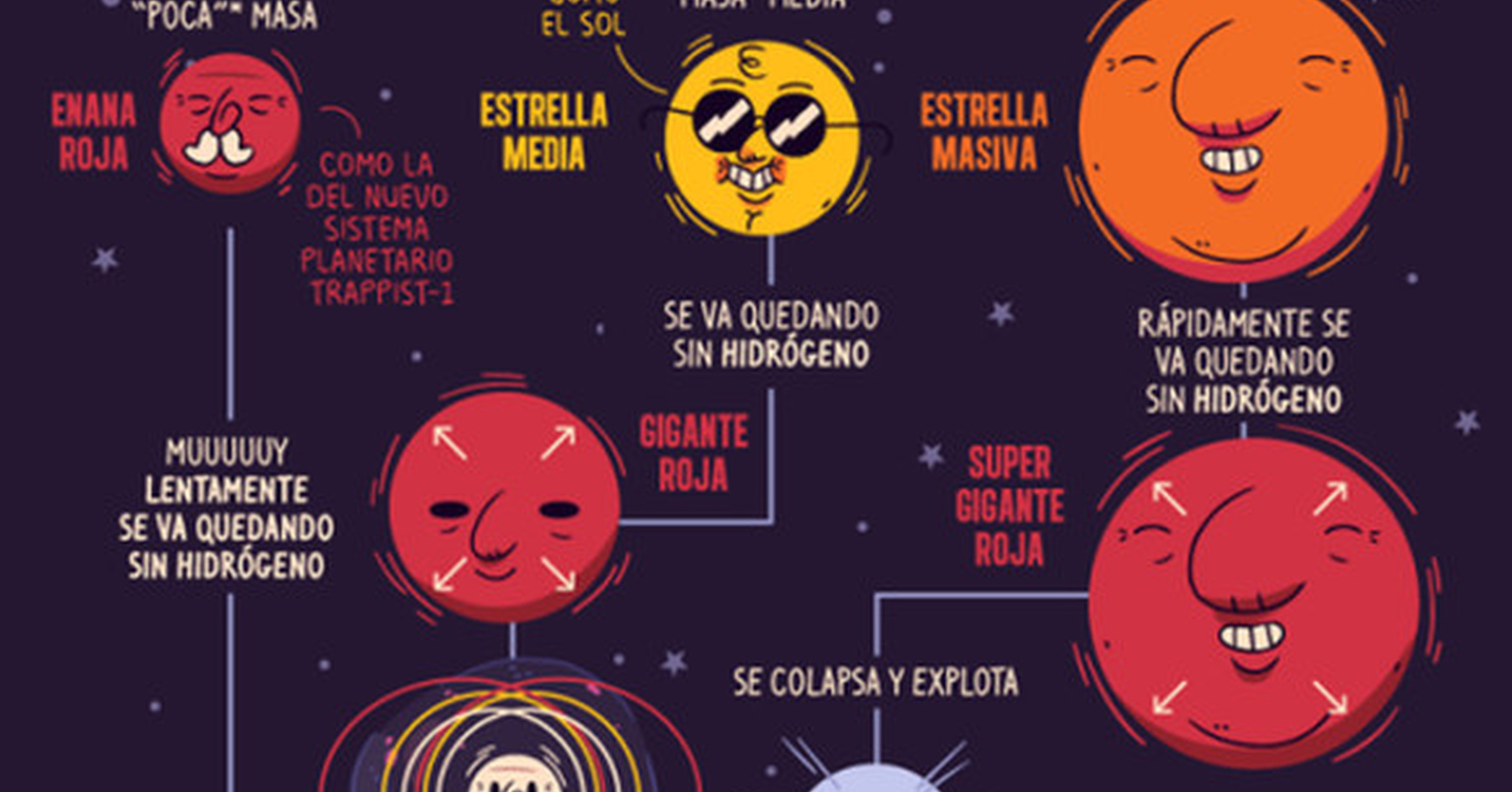 El Ciclo De Vida De Las Estrellas Infografia Infografia Ciclos De Images