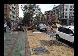 Enlace a Ésta es la suerte que yo necesitaría
