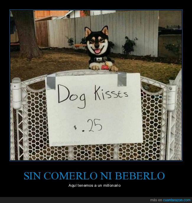 perro,cartel,besos,venta,25 céntimos
