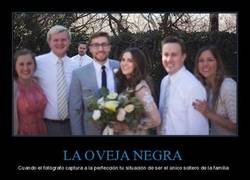 Enlace a LA OVEJA NEGRA