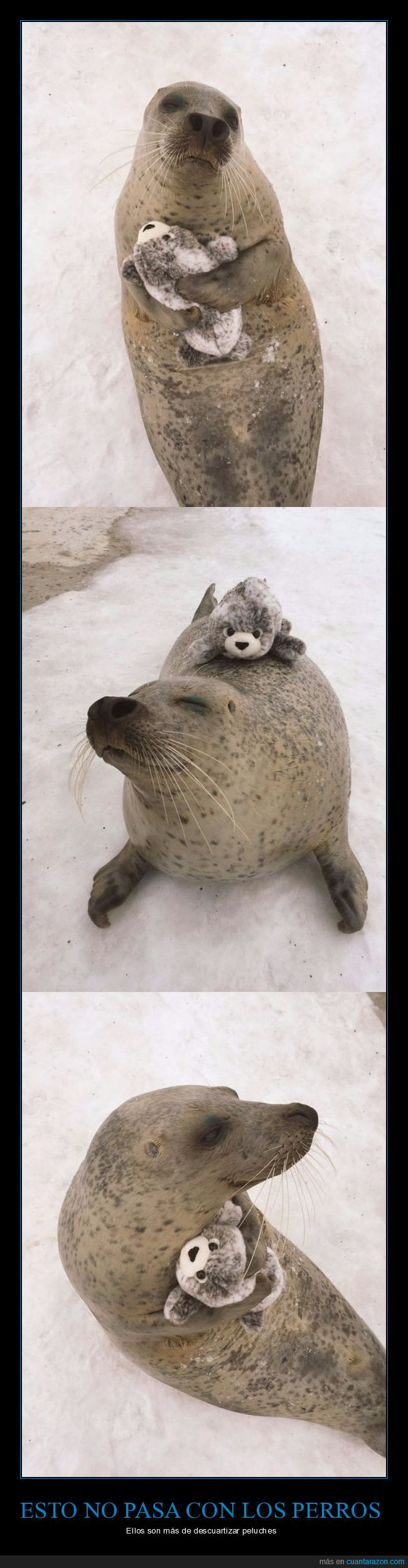 foca,peluche,abrazar