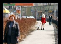 Enlace a ¿Tú qué crees que hará?