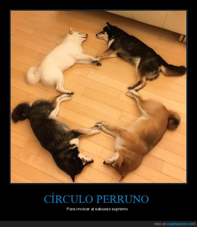 perros,círculo,ritual