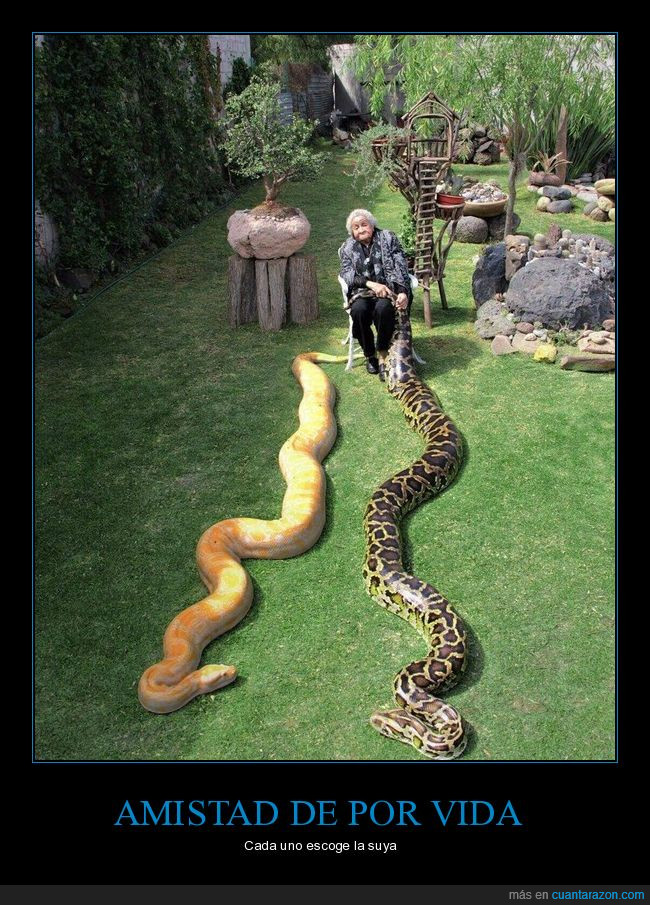 serpientes,abuela,bffs,amigos