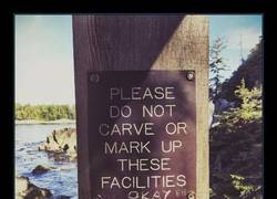 Enlace a Un cartel rebelde