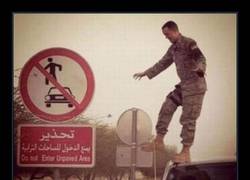 Enlace a Desafiar las leyes